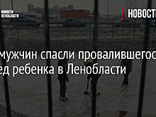 Двое мужчин спасли провалившегося под лед ребенка в Ленобласти