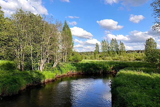 Прощайте, содомиты!* Всё больше американцев переезжают жить в Россию