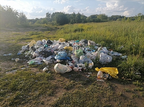 В Новосибирске собрали более 4 тонн мусора во время субботника