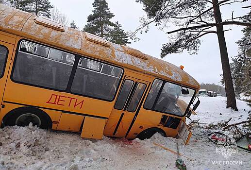 Раскрыты неожиданные подробности аварии с детским автобусом под Псковом