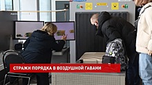 День транспортной полиции на рабочем месте: кто следит за безопасностью в аэропорту Платов?