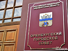 Депутаты приняли поправки в бюджет Оренбурга и льготы для многодетных семей