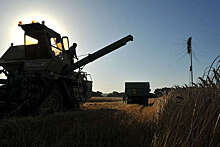 В ЕП заявили, что импорт твердой пшеницы из РФ в Италию вырос на 1164%