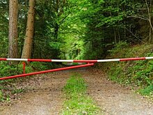 В Татарстане на 21 день ограничили посещение лесов — это ограничение могут продлевать и дальше