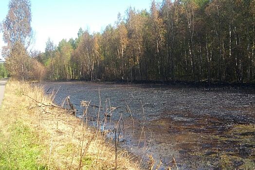 Власти проверили нефтяное озеро в Ярославле: результаты исследования