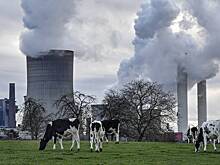 Германия пойдет на непопулярную меру ради тепла зимой