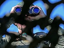 Польша ждет от Грузии объяснения из-за отказа участвовать в учениях НАТО