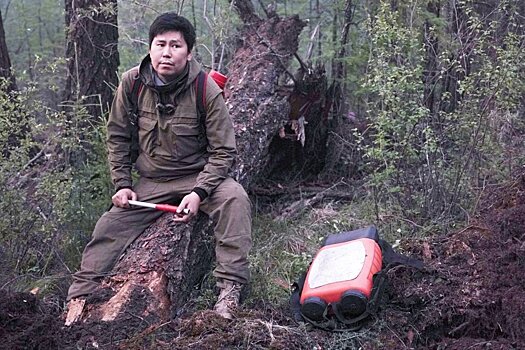 Ученые: Якутские леса обречены на регулярные пожары