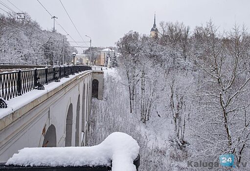 Калуга намерена стать «Городом трудовой доблести»