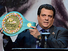 Уайлдер, Усик, Гвоздик — в WBC отчитались по чемпионским и претендентским статусам