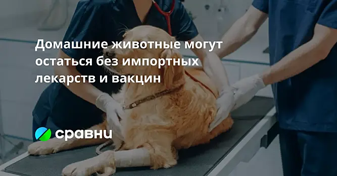 Домашние животные могут остаться без импортных лекарств и вакцин