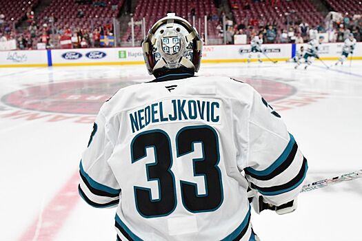 Алекс Неделькович стал пятым вратарём в истории НХЛ с голом, передачей и дракой за карьеру