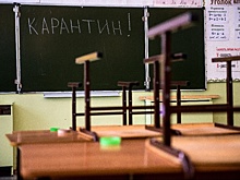 В Петербурге из-за гриппа и ОРВИ отправили на карантин более 500 классов