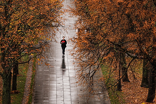 Грипп в Москве в этом году появился раньше из-за теплой осени