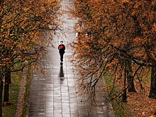 Грипп в Москве в этом году появился раньше из-за теплой осени