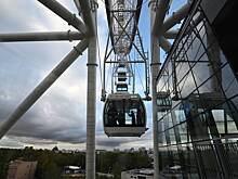 Очередь на бесплатный проезд на чертовом колесе ВДНХ достигла 60 тысяч человек