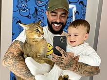 Новый «Холостяк» Тимати ужаснул фанатов «милыми» играми с тигром на кровати