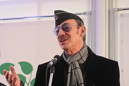 Михаил Боярский оштрафован за неуплаченный штраф ГИБДД