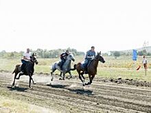 Под Нововоронежем прошёл масштабный конноспортивный праздник