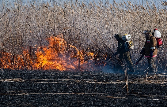 Названа причина возгорания камыша в Астраханском заповеднике