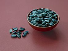 Бизнесвумен из Тихорецка украла у фермеров Кубани 242 тонны семечек