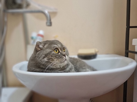 В среду несколько улиц Курска останутся без холодной воды