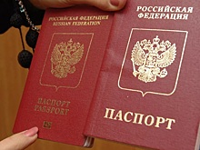 С 2022 года свыше миллиона жителей ЛНР получили российские паспорта