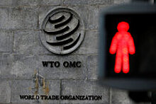 Страны ВТО теряют доступ к американским закупкам