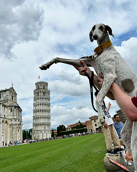 Туристы соревнуются в оригинальности. 