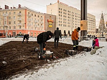 В Мурманске высадили почти 15 тысяч луковиц тюльпанов