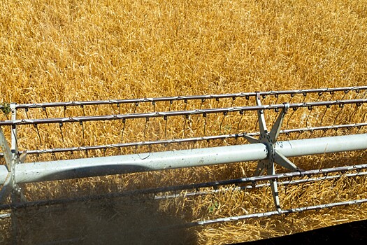 Маркетплейс «Своё фермерство» составил топ-6 самых востребованных зерноуборочных комбайнов