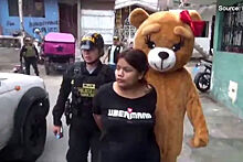 Переодетый в медведя полицейский поймал наркоторговку в День влюбленных