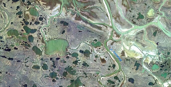 Экологи рассказали, как «Норникель» уйдет от ответственности за разлив топлива