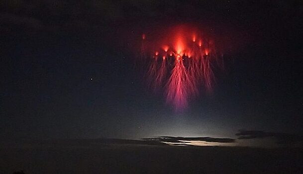 Фотографу удалось заснять жуткую «медузу»