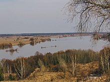В Рязани и Касимове построят причалы