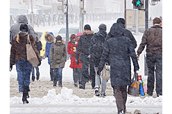 Зима в Москве начнется с аномального тепла