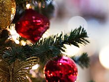 Как украсили свои елки знаменитости