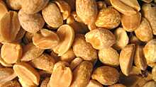 Во Франции создан пластырь от аллергии на арахис