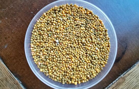 Сможет ли США снабжать Европу минеральными удобрениями в полном объеме