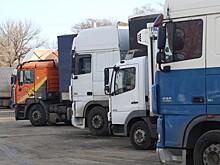 Эстония приостановила пропуск фур на границе с Россией