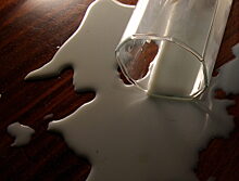 Производителей «молочки» проверят на фальсификат