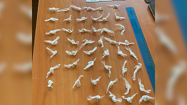 В Амурской области наркополицейские изъяли более 200 гр. героина у хабаровчанки, сбывавшей запрещенное вещество на территории Благовещенска
