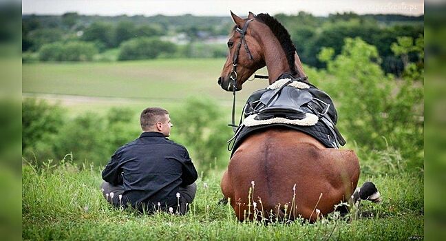 Можно ли ездить на лошади по городу наравне с автомобилями?