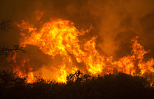 Количество жертв пожаров в Калифорнии увеличилось