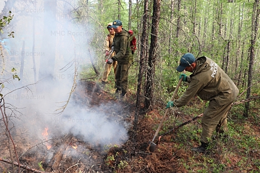 Избежать лесных пожаров  в Якутии – утопия: учёный объяснил почему