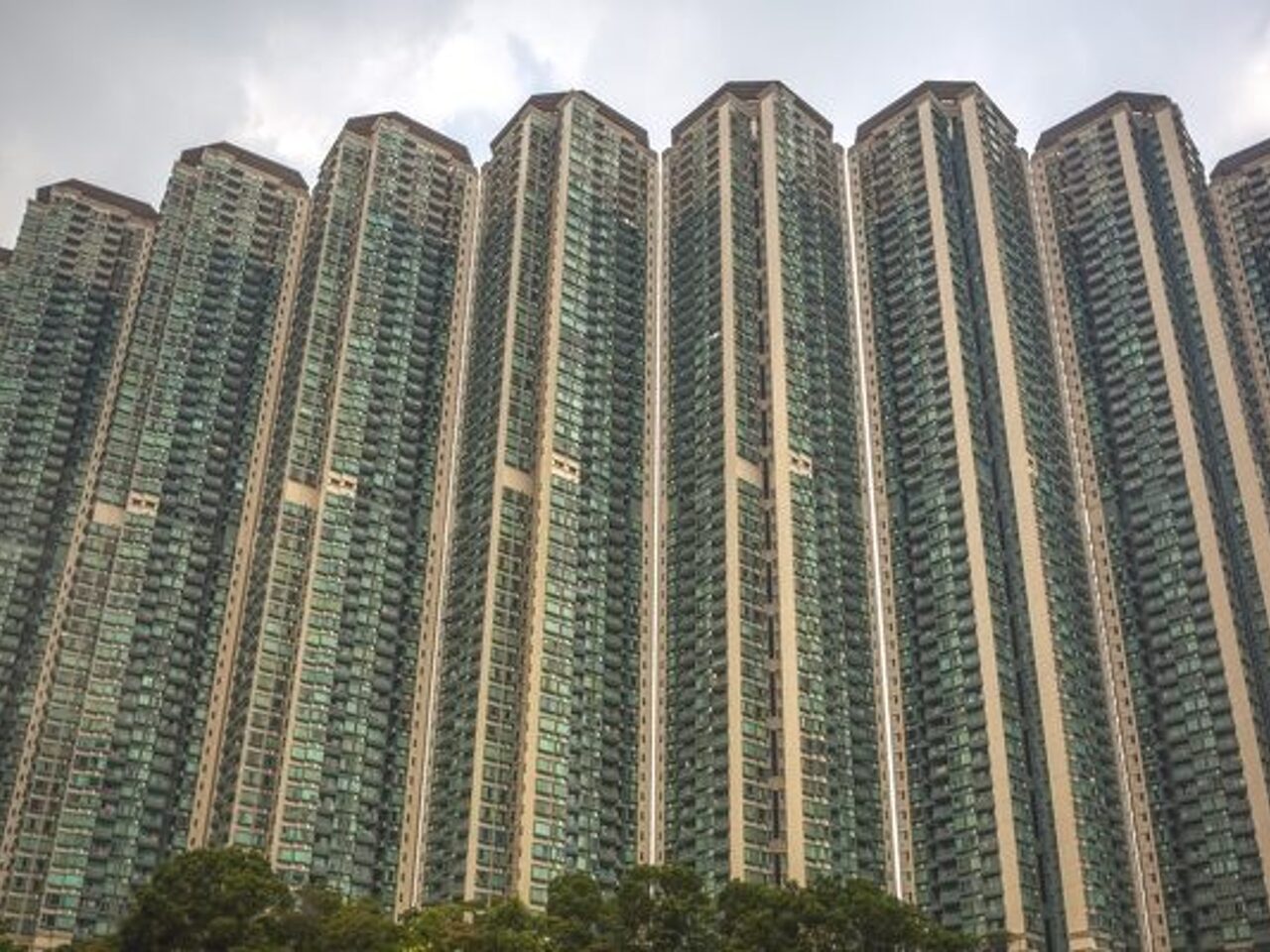 Человейник в гонконге. Гонконг небоскребы муравейник. Гонконг небоскребы муравейник. Трущобы коулун. Каменные джунгли гонконга.