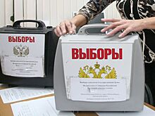 Выборы 13 сентября 2020 в Новосибирской области: завершилась регистрация кандидатов в Заксобрание