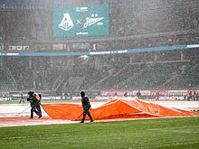 Стадион «Локомотива» облили львиной мочой в сериале