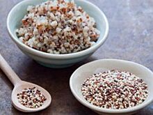 На Кубани впервые в России начали выращивать киноа