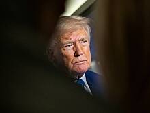 Мигранты могут снести Трампа